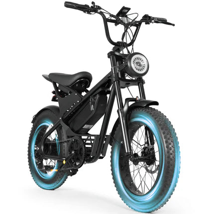 Electric Bike for Adults 20",300W E-Mountain Bike with 48V 13Ah UL2849