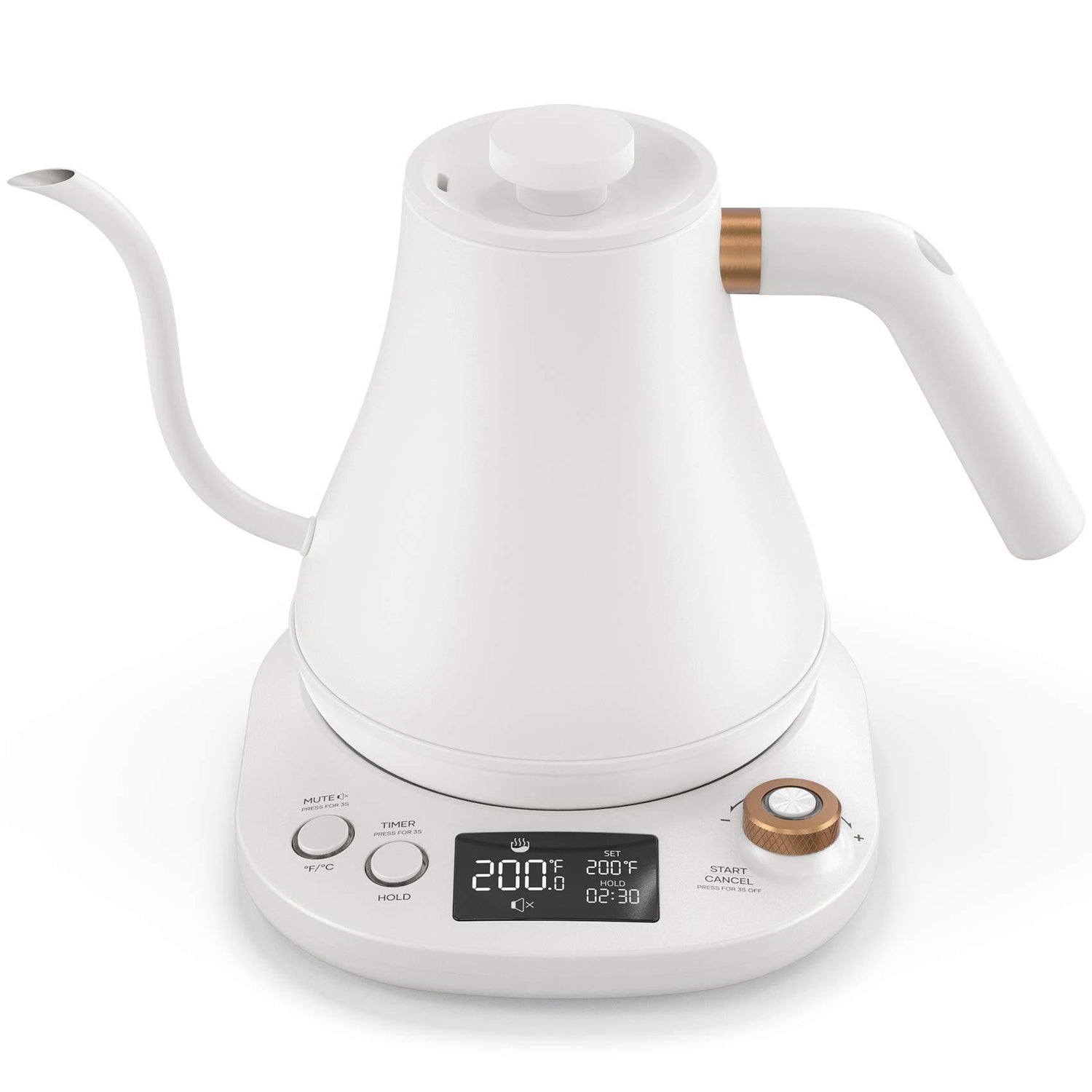 Gooseneck Electric Tea Kettle Pour-Over Kettle for Coffee, with 5 Variable  Presets, 100% Stainless Steel Inner, with Keep Warm and Mute Function 0.8L